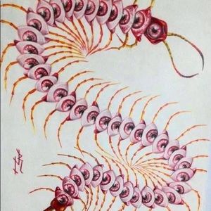 Meet your Posher, Cora